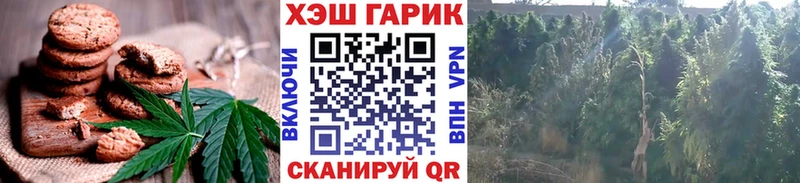 Купить  Родники  Cannafood конопля 